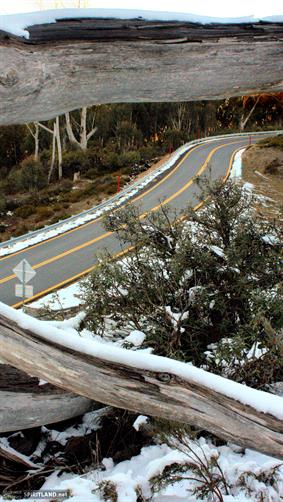 Snowfields road, NSW. 